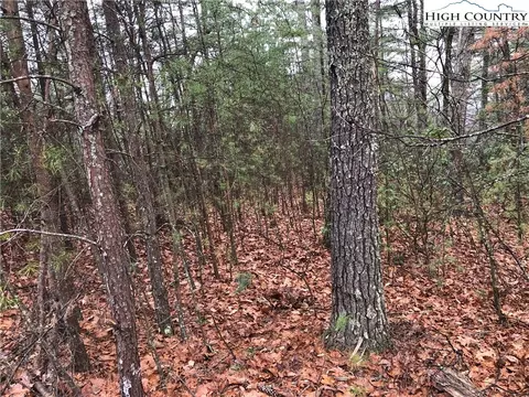 lot56 Deer Run, Purlear, NC 28665 photo 6