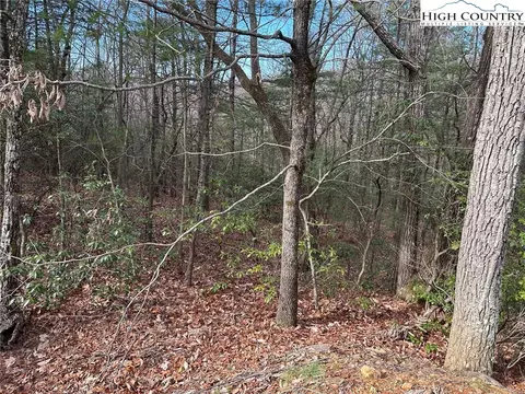 Undisclosed, Mcgrady, NC 28649 photo 3