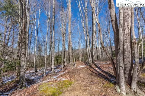 1465 Pine Ridge Rd, Beech Mountain, NC 28604 photo 2