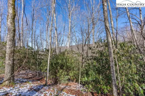 1465 Pine Ridge Rd, Beech Mountain, NC 28604 photo 3
