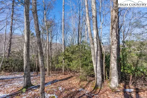 1465 Pine Ridge Rd, Beech Mountain, NC 28604 photo 5