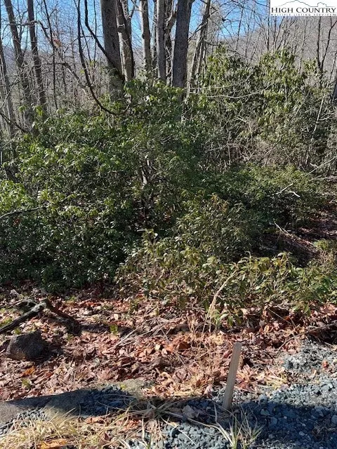 239 Poplar Dr, Beech Mountain, NC 28604 photo 1