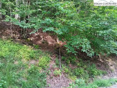 119 Aster Trl, Beech Mountain, NC 28604 photo 1