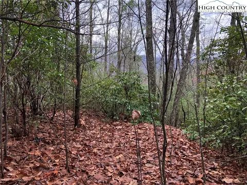 lot230 Deer Run, Purlear, NC 28665 photo 6