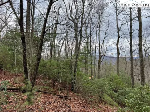lot230 Deer Run, Purlear, NC 28665 photo 4
