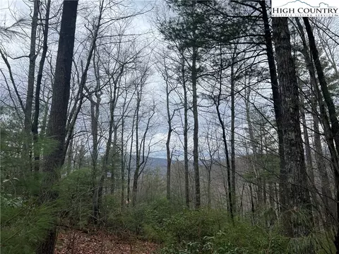 lot230 Deer Run, Purlear, NC 28665 photo 8