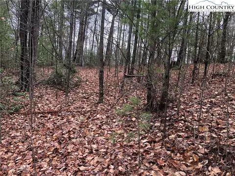 lot230 Deer Run, Purlear, NC 28665 photo 5