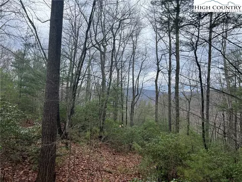 lot230 Deer Run, Purlear, NC 28665 photo 2