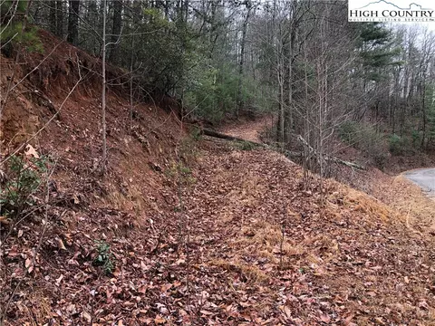 lot230 Deer Run, Purlear, NC 28665 photo 3