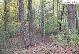 tbd Clearview Ridge Rd, Crumpler, NC 28617