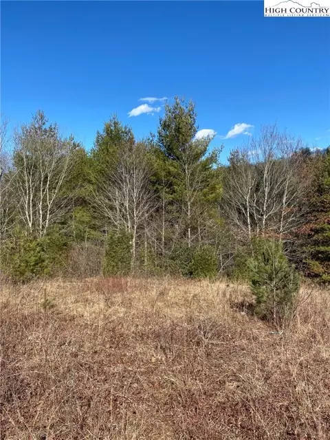 Tbd Holly Ridge Road, West Jefferson, NC 28694