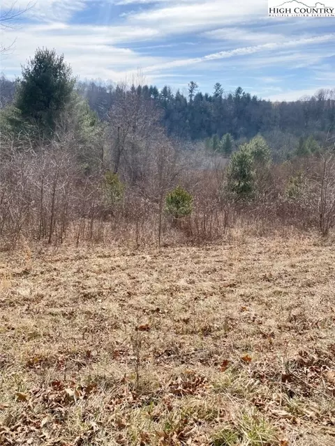 lot Apt 32 Riverside Dr, Sparta, NC 28675 photo 5