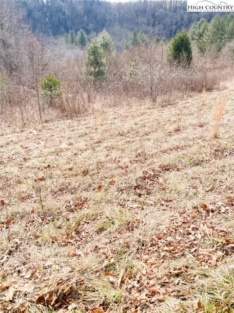 lot Apt 32 Riverside Dr, Sparta, NC 28675 photo 4