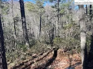 tbd Phacelia Ln, Boone, NC 28607 photo 33