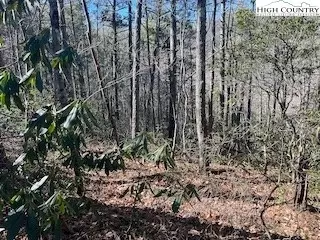 tbd Phacelia Ln, Boone, NC 28607 photo 31