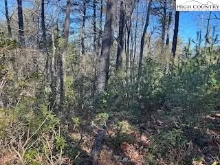 tbd Phacelia Ln, Boone, NC 28607 photo 34