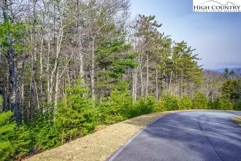 tbd Phacelia Ln, Boone, NC 28607 photo 2