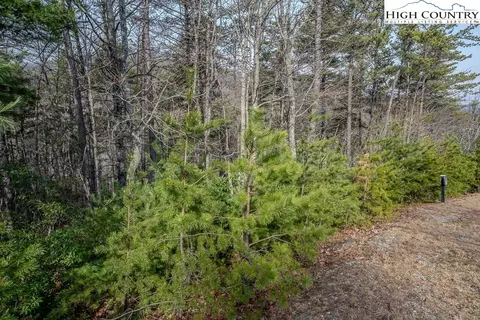 tbd Phacelia Ln, Boone, NC 28607 photo 24