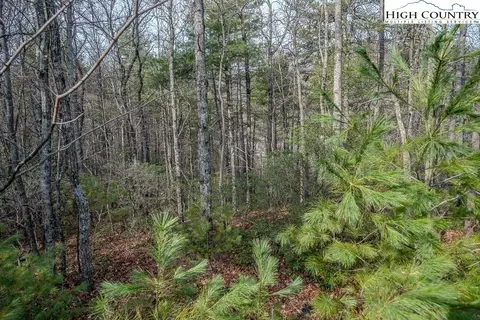 tbd Phacelia Ln, Boone, NC 28607 photo 25