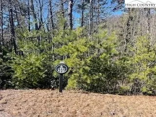 tbd Phacelia Ln, Boone, NC 28607 photo 27