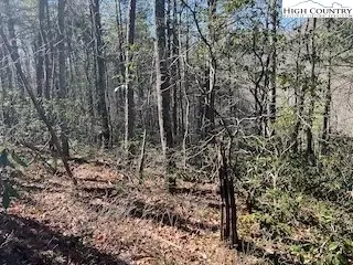 tbd Phacelia Ln, Boone, NC 28607 photo 32