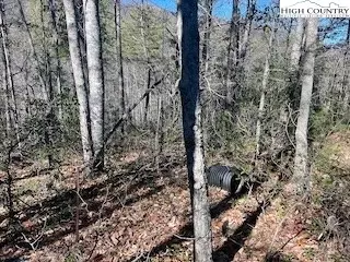 tbd Phacelia Ln, Boone, NC 28607 photo 30