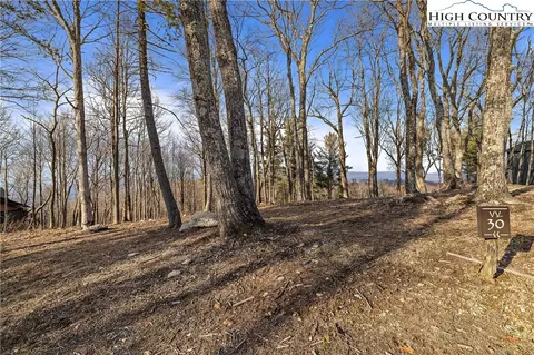 30 Firestone Lane, Beech Mountain, NC 28622 photo 5