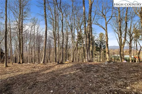30 Firestone Lane, Beech Mountain, NC 28622 photo 6
