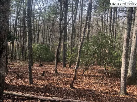 tbd Painted Laurel Lot 20 Dr, Jefferson, NC 28640 photo 2