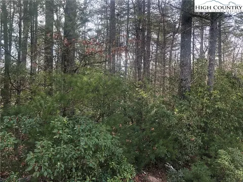 Tbd Painted Laurel Lot 20 Drive, Jefferson, NC 28640