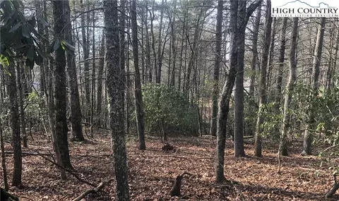 tbd Painted Laurel Lot 20 Dr, Jefferson, NC 28640 photo 6