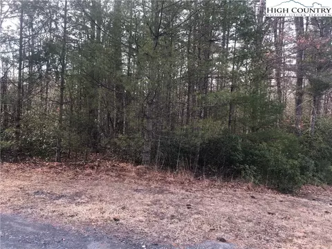 tbd Painted Laurel Lot 20 Dr, Jefferson, NC 28640 photo 4