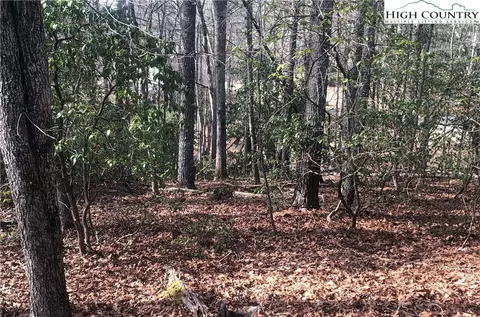 tbd Painted Laurel Lot 20 Dr, Jefferson, NC 28640 photo 3