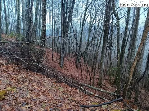 105 Bear Cub Ln, Beech Mountain, NC 28604