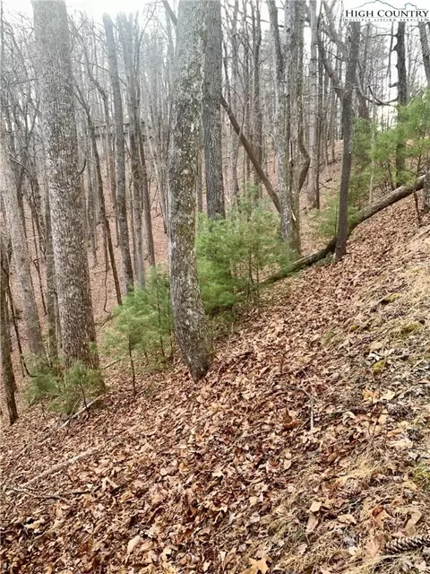 tbd Bear Paw Road Rd, Deep Gap, NC 28618 photo 31