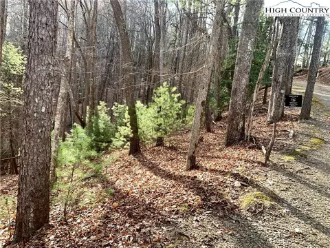 tbd Bear Paw Road Rd, Deep Gap, NC 28618 photo 3