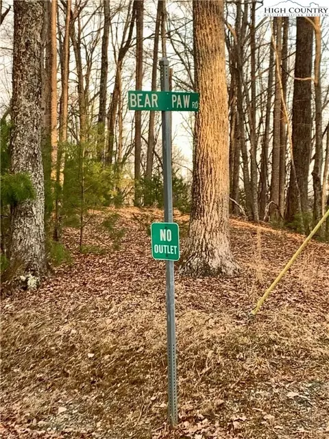 tbd Bear Paw Road Rd, Deep Gap, NC 28618 photo 5