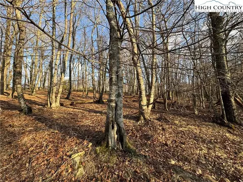 210 Pine Ridge Rd, Beech Mountain, NC 28604 photo 2