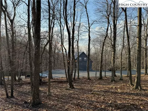 210 Pine Ridge Rd, Beech Mountain, NC 28604 photo 3