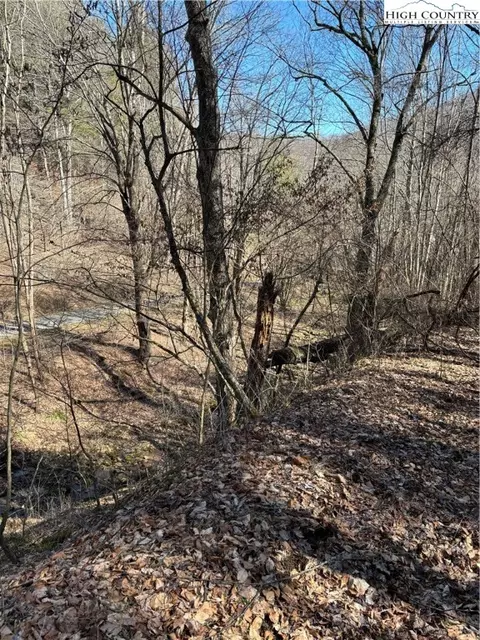 tbd Crestview Drive East Dr, Creston, NC 28615 photo 14