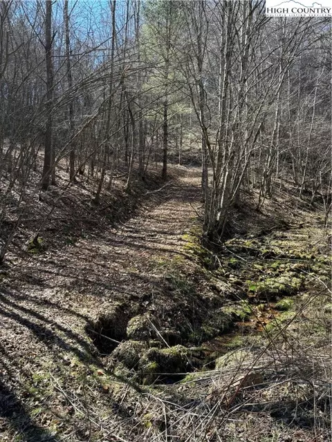 tbd Crestview Drive East Dr, Creston, NC 28615 photo 3