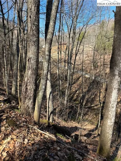 tbd Crestview Drive East Dr, Creston, NC 28615 photo 12