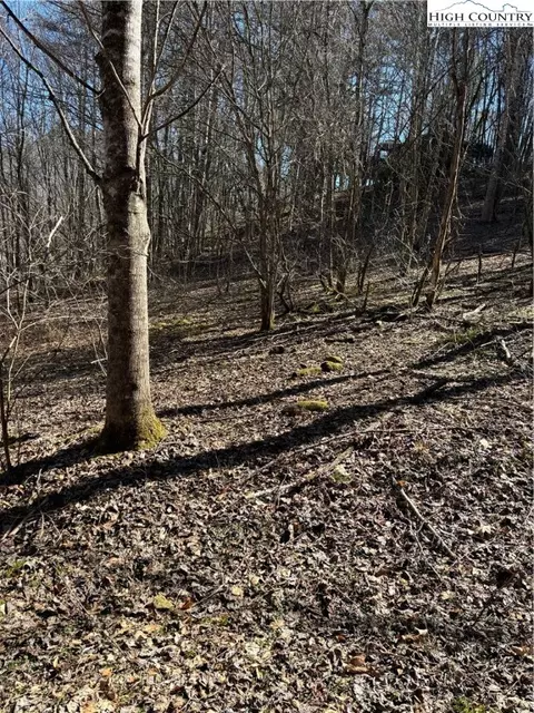tbd Crestview Drive East Dr, Creston, NC 28615 photo 6