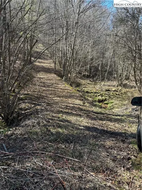 Tbd Crestview Drive East Drive, Creston, NC 28615