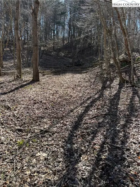 tbd Crestview Drive East Dr, Creston, NC 28615 photo 5