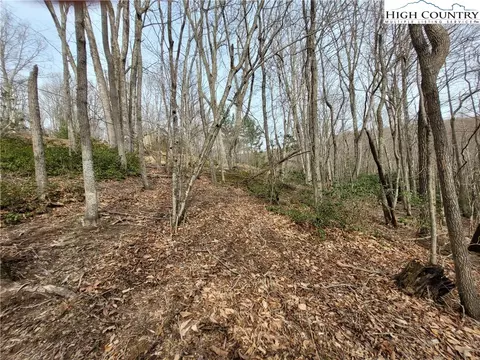 1138 Pine Ridge Rd, Beech Mountain, NC 28604 photo 23