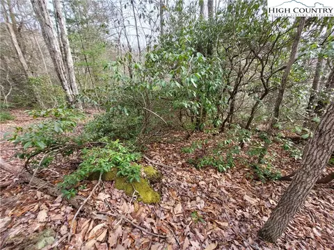 1138 Pine Ridge Rd, Beech Mountain, NC 28604 photo 21
