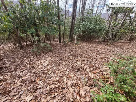 1138 Pine Ridge Rd, Beech Mountain, NC 28604 photo 2