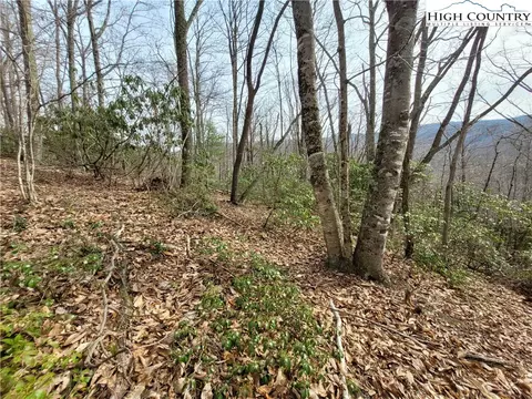 1138 Pine Ridge Rd, Beech Mountain, NC 28604 photo 17