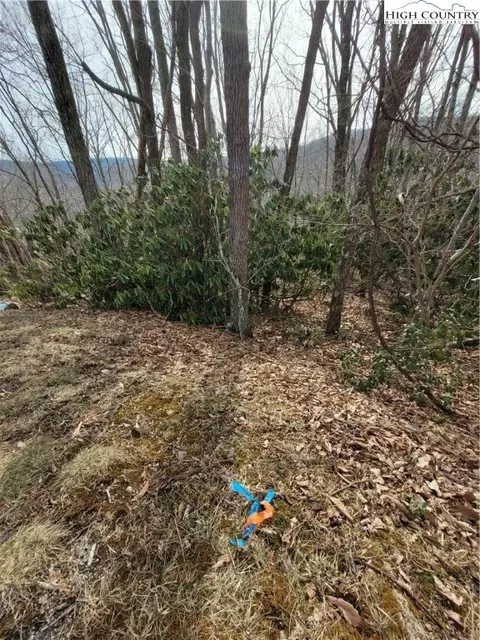 1138 Pine Ridge Rd, Beech Mountain, NC 28604 photo 5